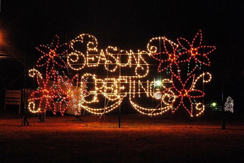 Christmas Lights in Louisiana