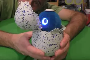 Hatchimal &#8211; 2016&#8217;s Must Have Hot Toy