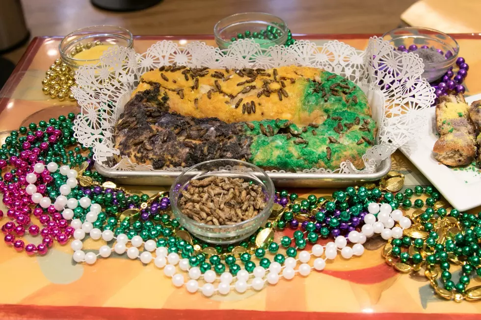 Would You Try Cricket King Cake? [VIDEO]