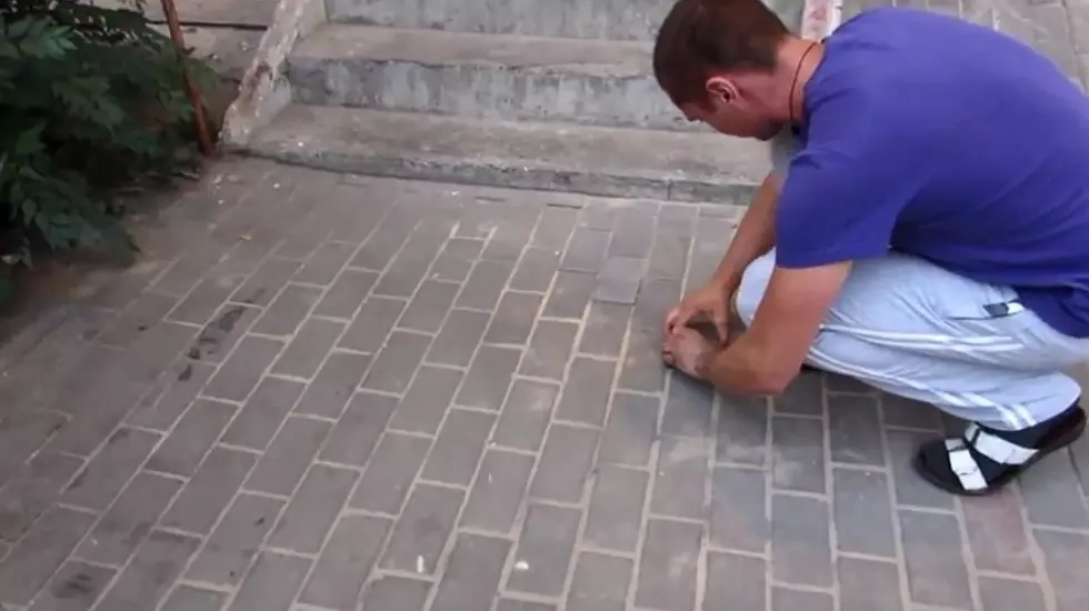 Man Rescues Dog Buried Underneath Sidewalk [Video]