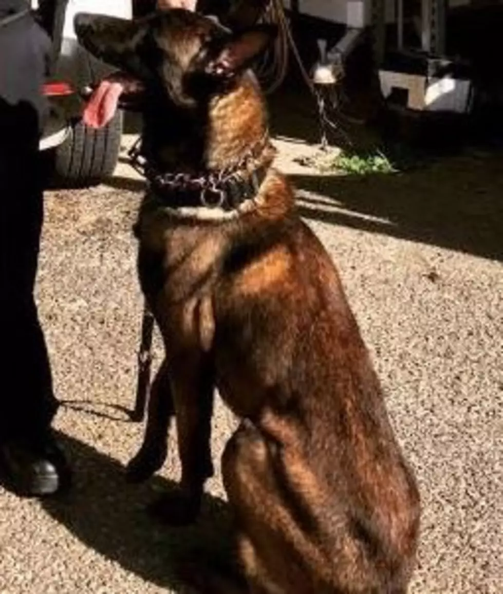 Body Of Crowley K-9 Killed In Line Of Duty Transported By Police Motorcade To Calcasieu Parish [VIDEO]