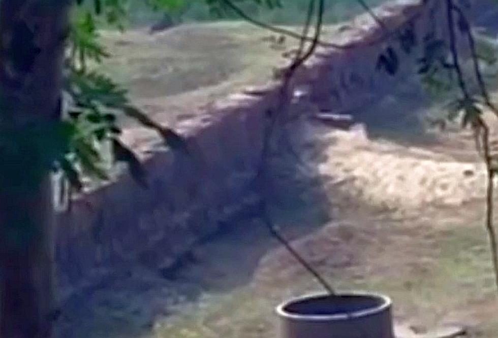 Ghost Caught On Camera Jumping Down A Well? [Video]