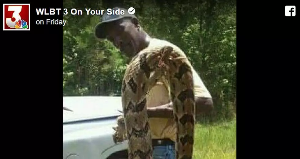 Mississippi Man Kills Enormous Rattlesnake [Video]