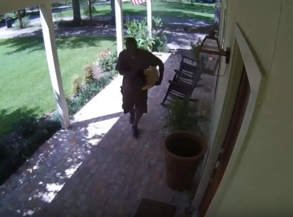 Snake Scares Unsuspecting Delivery Driver [Video]