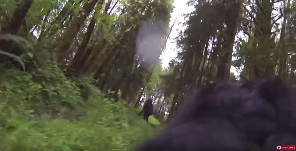 Did This Dog Capture Video Of Bigfoot On A GoPro Camera? [Video]