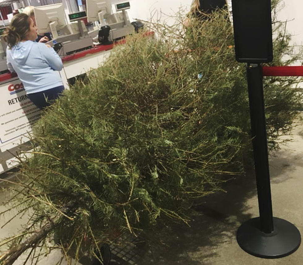 Woman Returns Real Christmas Tree to Costco on January 4th…and Got a Refund