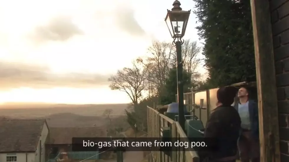 Bio-Gas Street Lights Powered By Dog Poo Are Kind Of A Great Idea