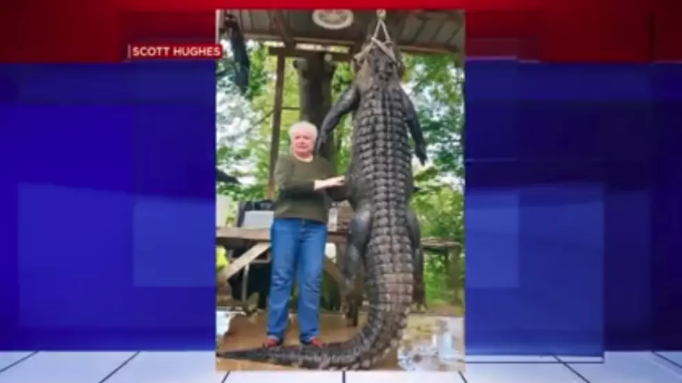 Grandmother Takes Down 12-Foot Alligator [Video]