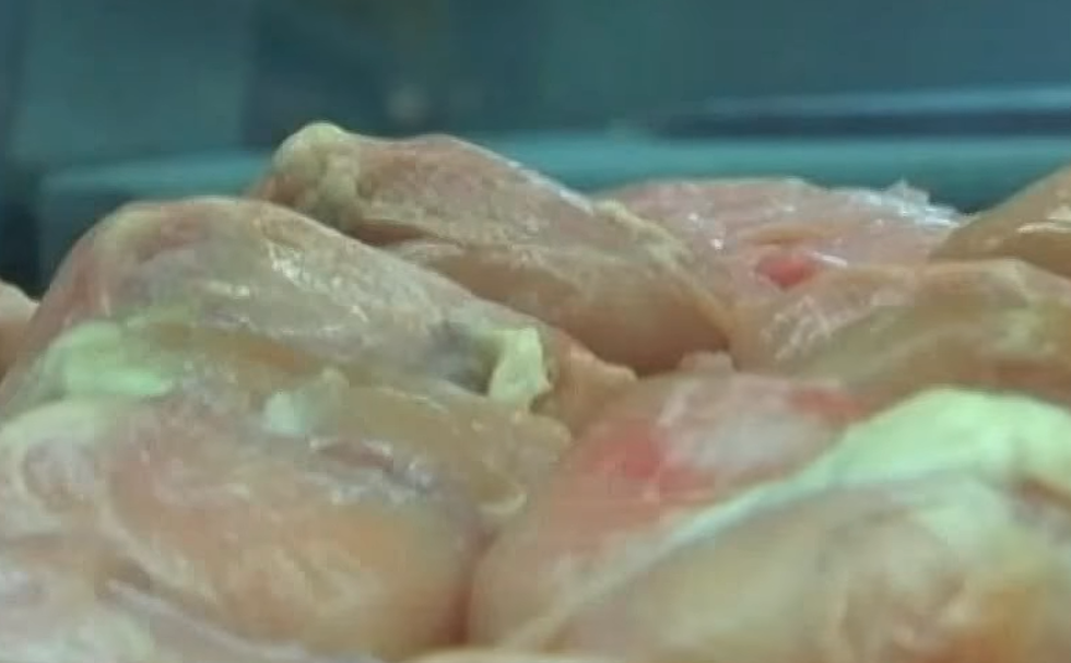 CDC Warns Louisiana Residents Of Salmonella Outbreak
