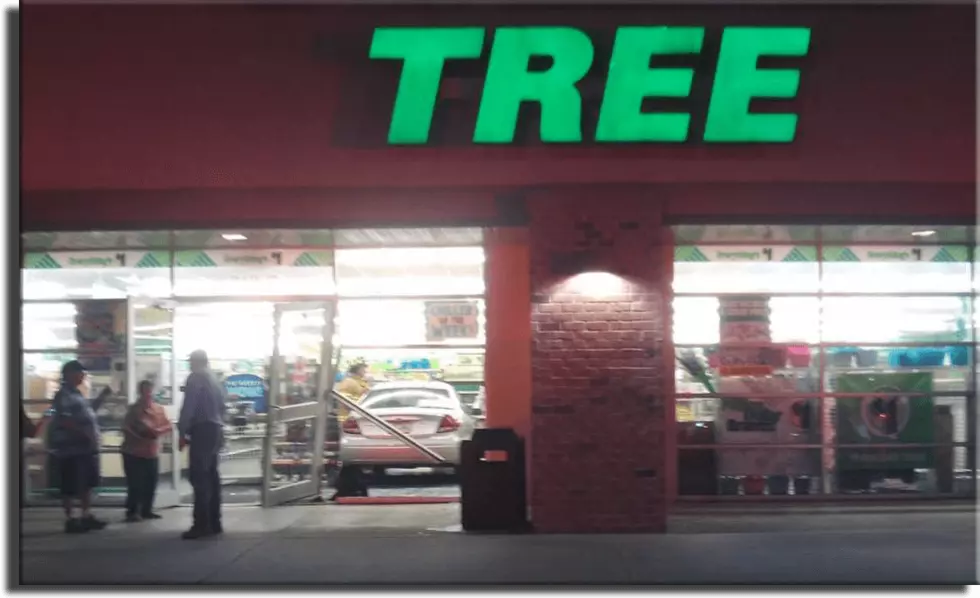 Car Crashes Into Dollar Tree in Broussard