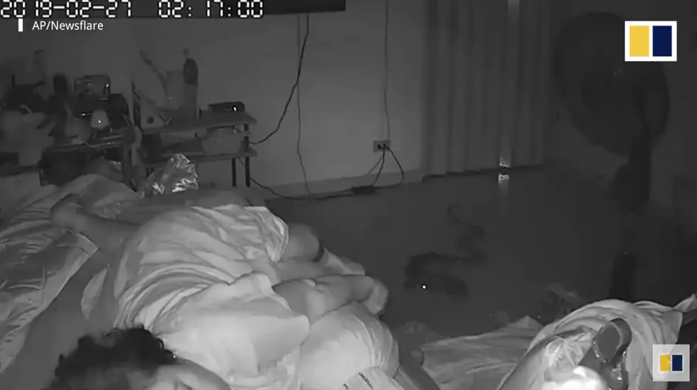 Snake Bites Woman On Her Foot While She Sleeps Like It’s The Koosh Ma Or Something [Video]