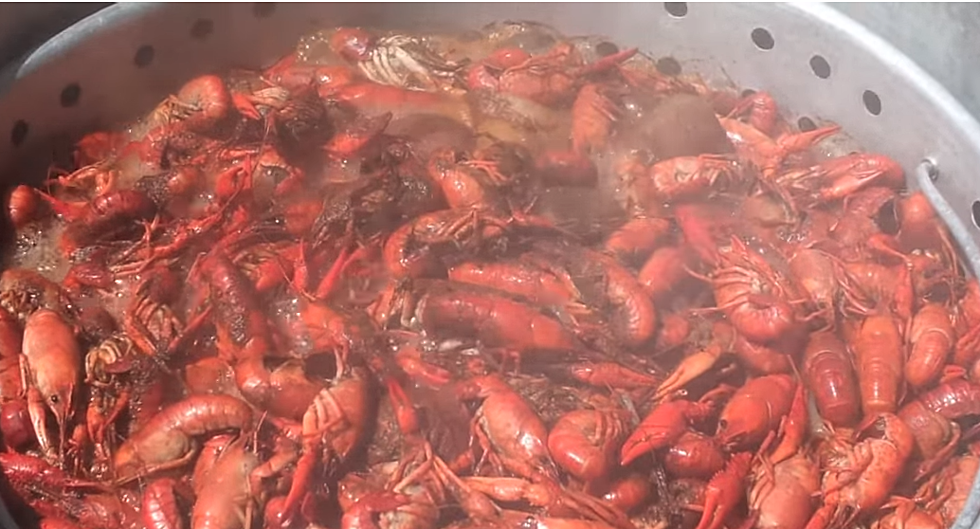 Eunice Crawfish Thief Finds Himself In Hot Water