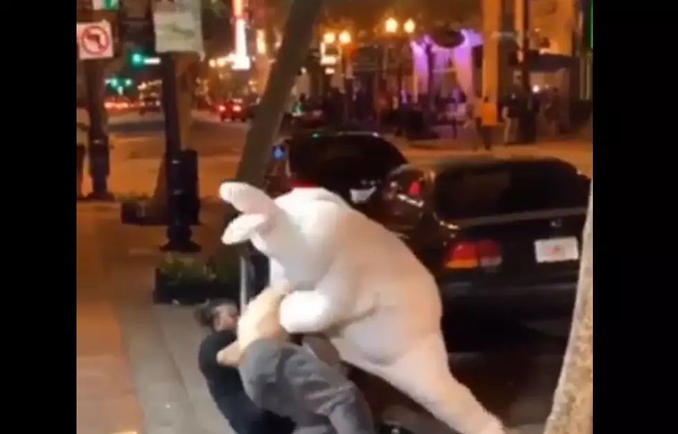 Easter Bunny Throws Punches In Vicious Brawl [Video]