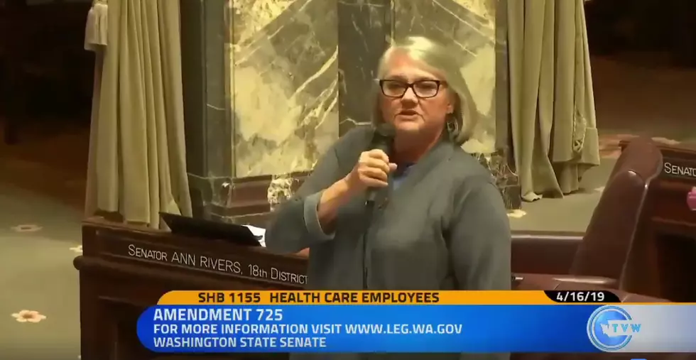 Senator Maureen Walsh Says ‘Nurses Play Cards All Day’ And More [Video]