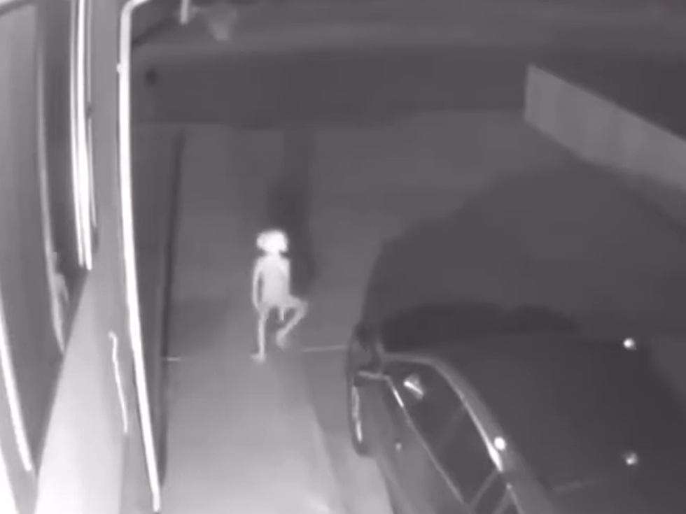 Elf-Like Creature Shows Up On Surveillance Video [Watch]