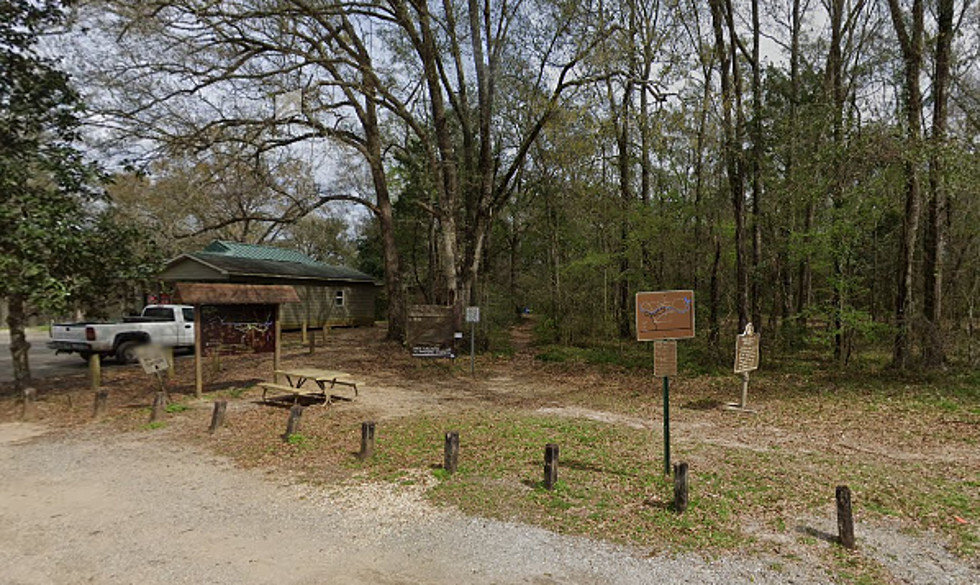 7 Hiking Trails in Acadiana