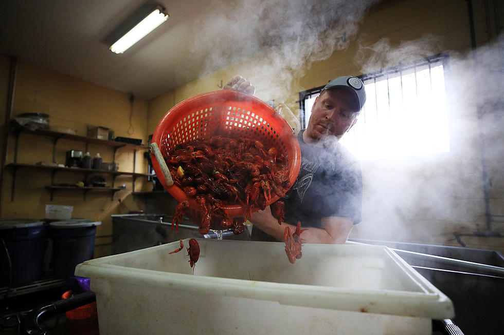 Louisiana Crawfish Prices Significantly Higher as Season Begins