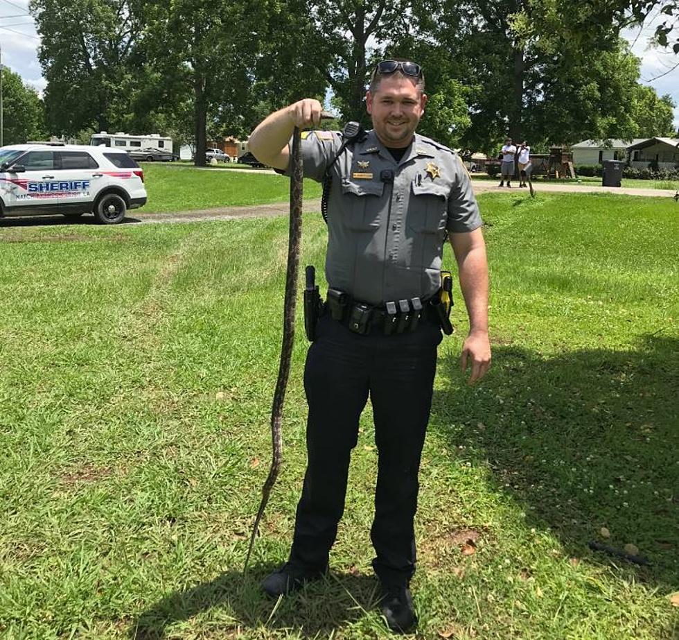 Louisiana Lawman Removes 5-foot Snake From Residence
