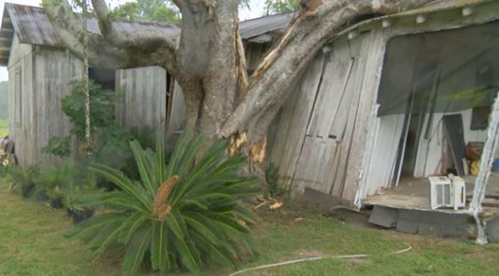 Storm Winds Blow Tree on to St. Martin Parish Home