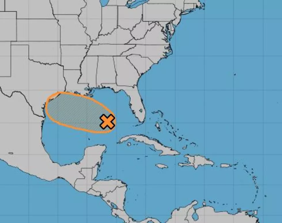 Watching the Gulf for Tropical Development
