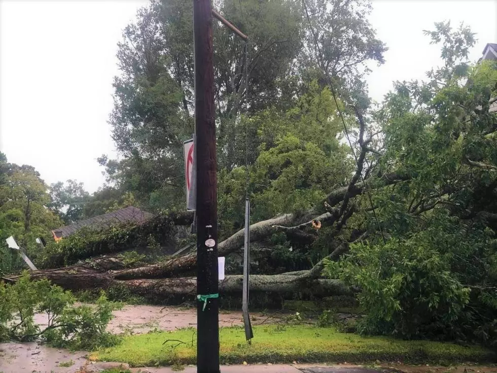 Hurricane Laura&#8217;s Impact on Alexandria and Central Louisiana is Extensive [Photos]