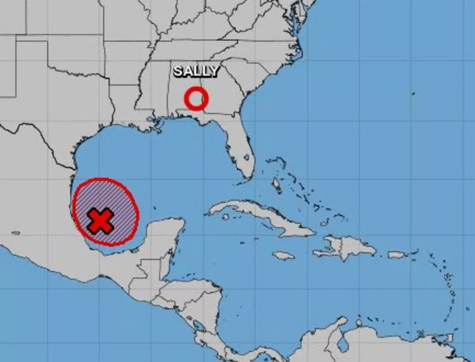 Tropical Development Imminent in the Gulf