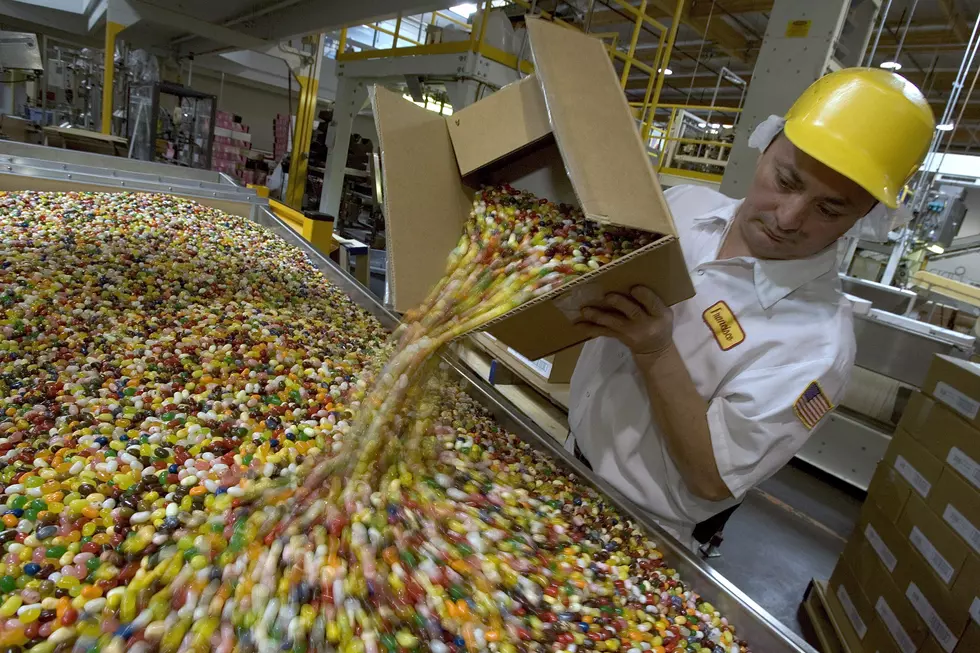 Jelly Belly Founder David Klein Giving Away Candy Factory With Gold Ticket Treasure Hunt