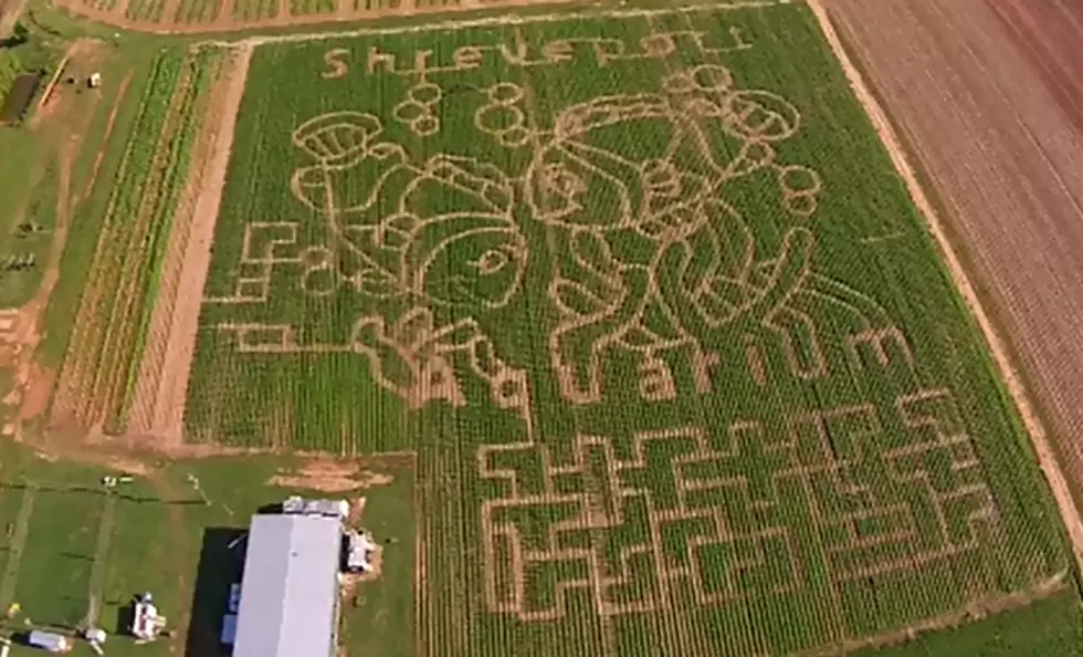 All the Corn Mazes You Can Visit in Louisiana