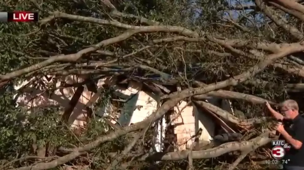 Tree Completely Crushes Lafayette Home [Video]