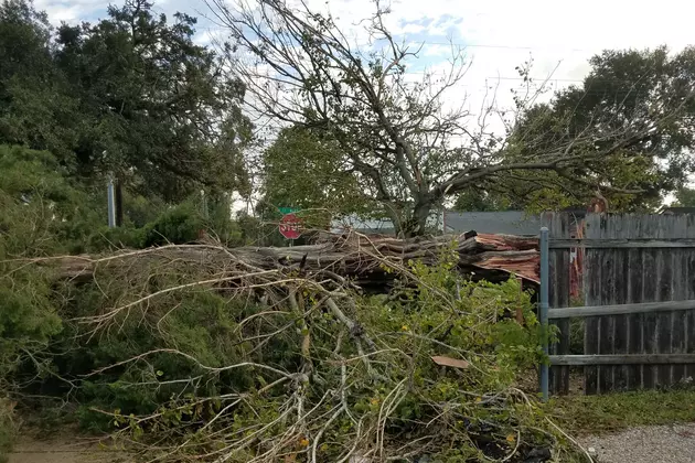 Hurricane Delta Inflicts New Damage on Hurricane-ravaged Louisiana