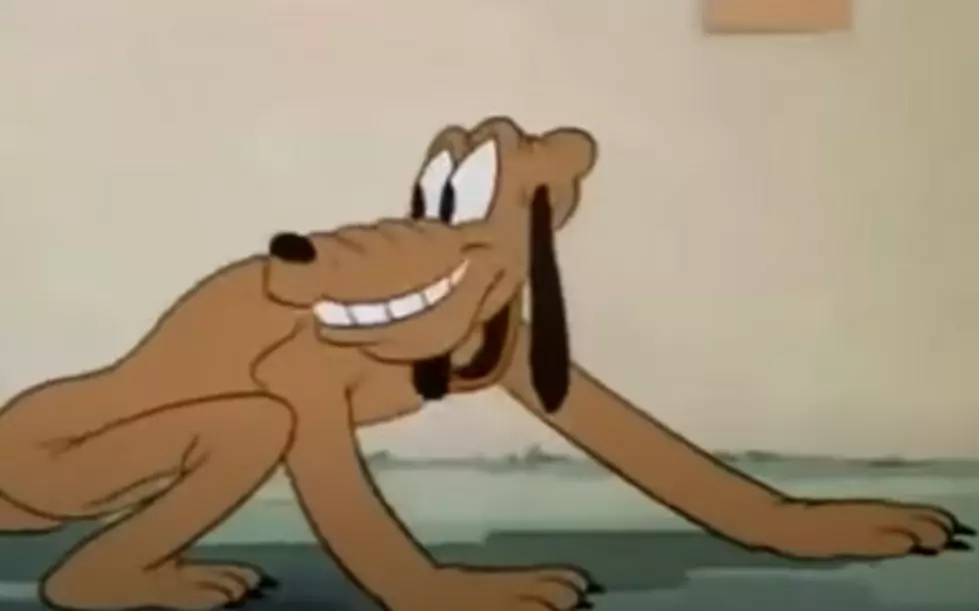 Today I Learned &#8211; 11 Facts About 11 Iconic Cartoon Dogs