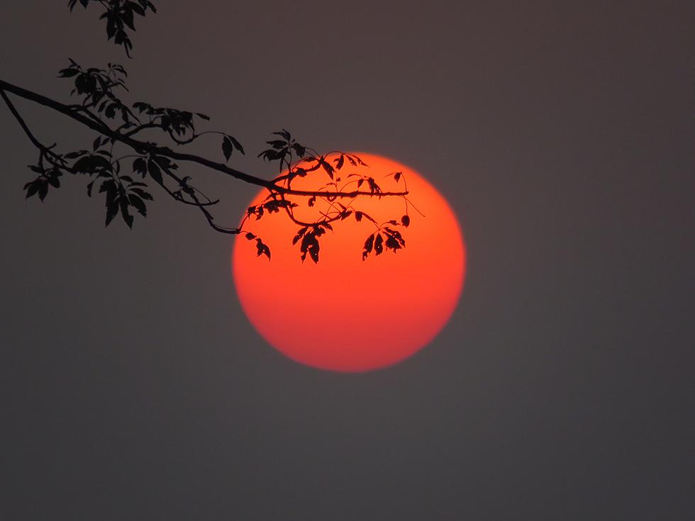Saharan Dust to Kick Up Spectacular Sunsets in South Louisiana