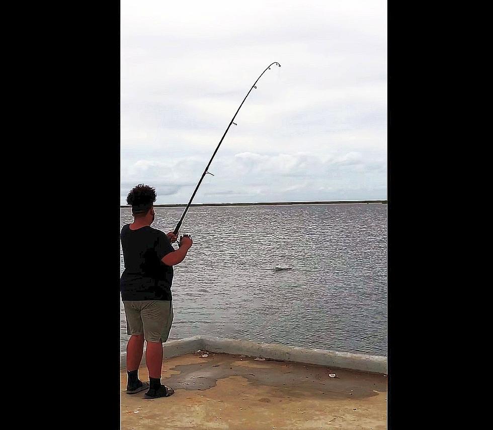 Man Casually Catches Shark off Pier at Cypremort Point