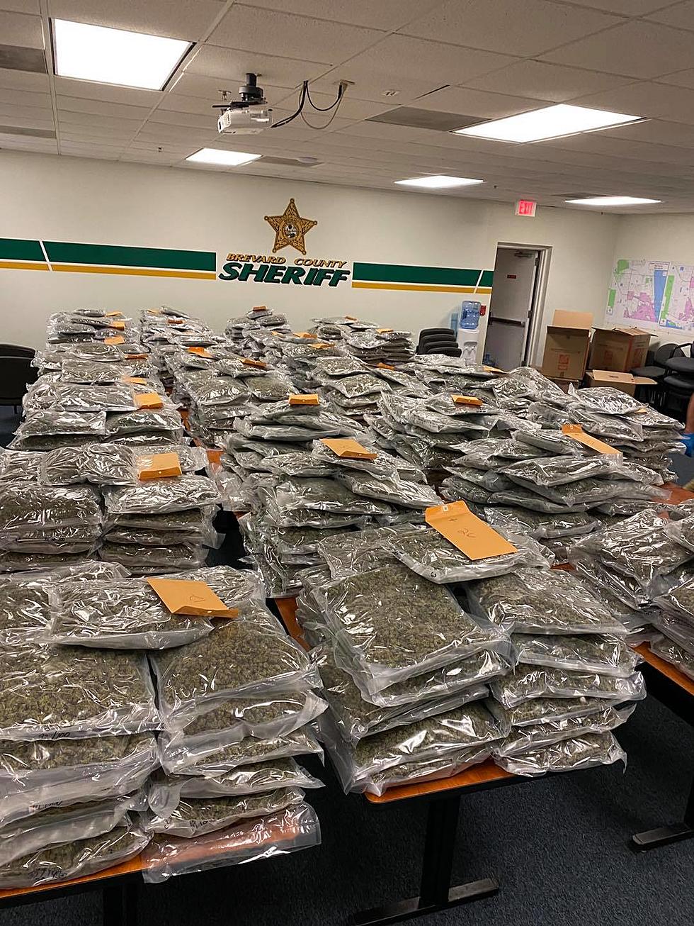 Florida Sheriff’s Office Looking for Owner of $2 Million Worth of Marijuana
