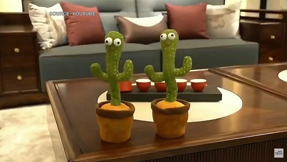 Walmart Pulls Dancing Cactus Singing About Cocaine, Suicide, and Curses in Polish [Video]
