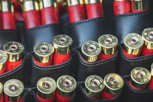 Ammunition Shortages Impacting Hunters Across Louisiana
