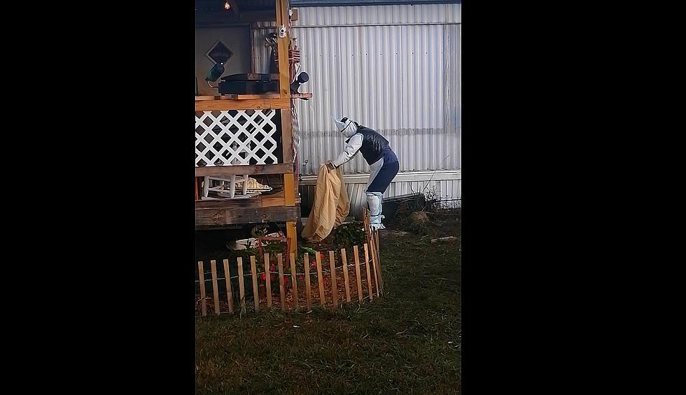 Louisiana Man Hilariously Attempts to Relocate Trapped Skunk 