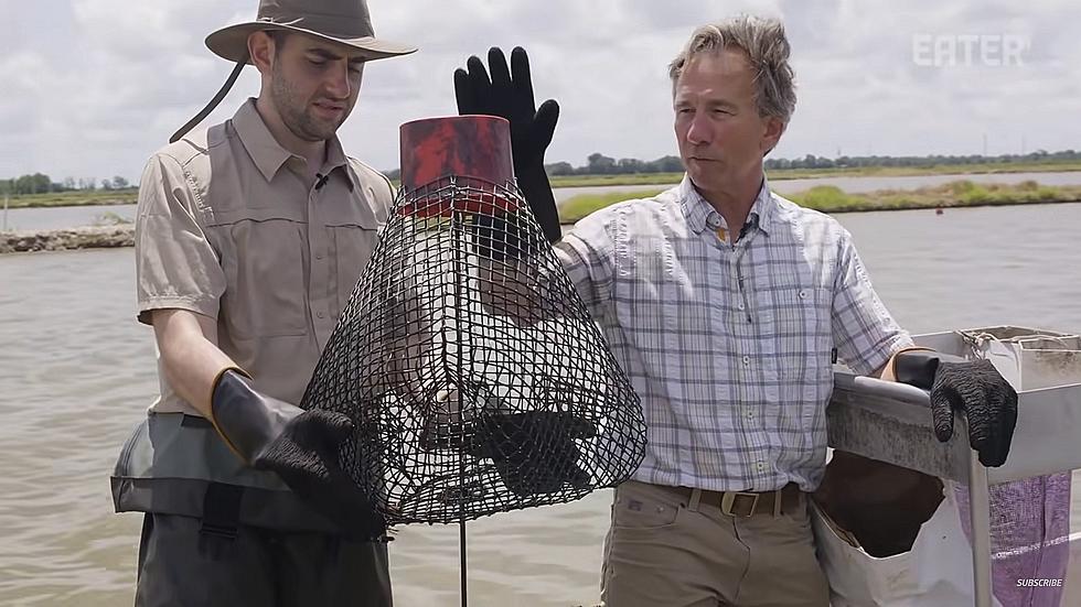 The Sad Truth About Louisiana's Crawfish Season
