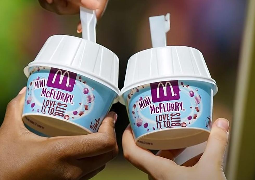 Truth About McDonald's McFlurry Spoons Finally Revealed