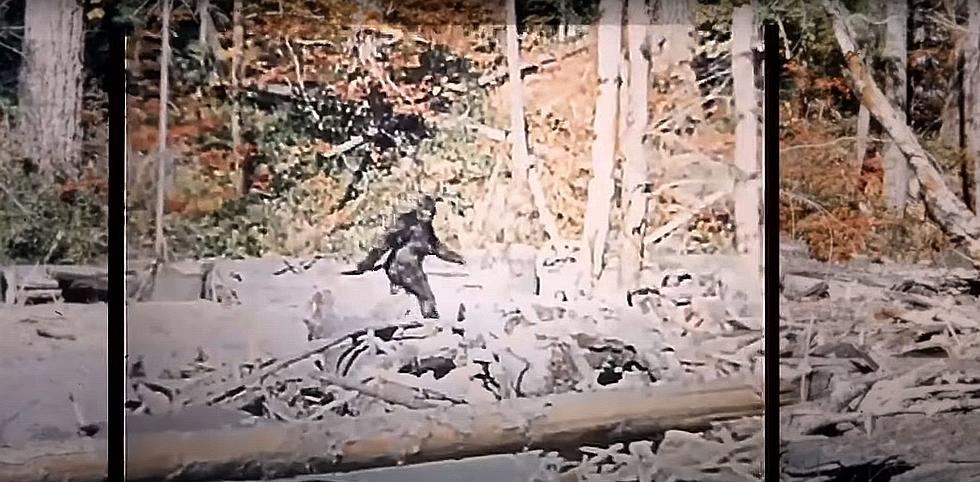 Remastered, Stabilized Version of 1967 Patterson Bigfoot Film