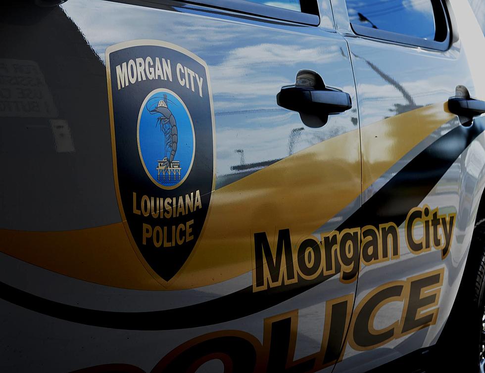 Man Dies After Jumping Off Morgan City Bridge