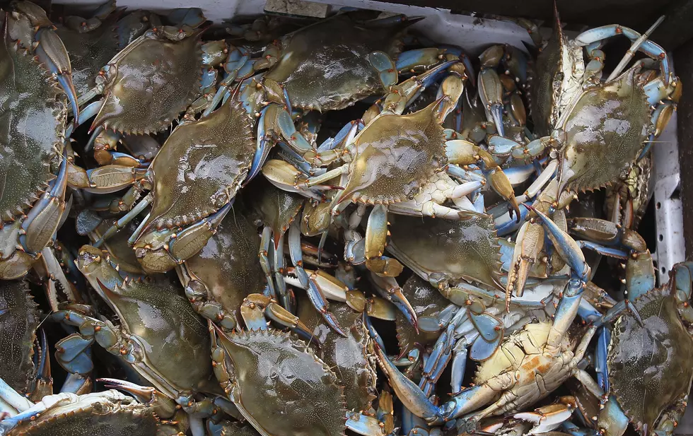 In Case You Didn’t Know, You Now Must Have a License for Roadside Crabbing