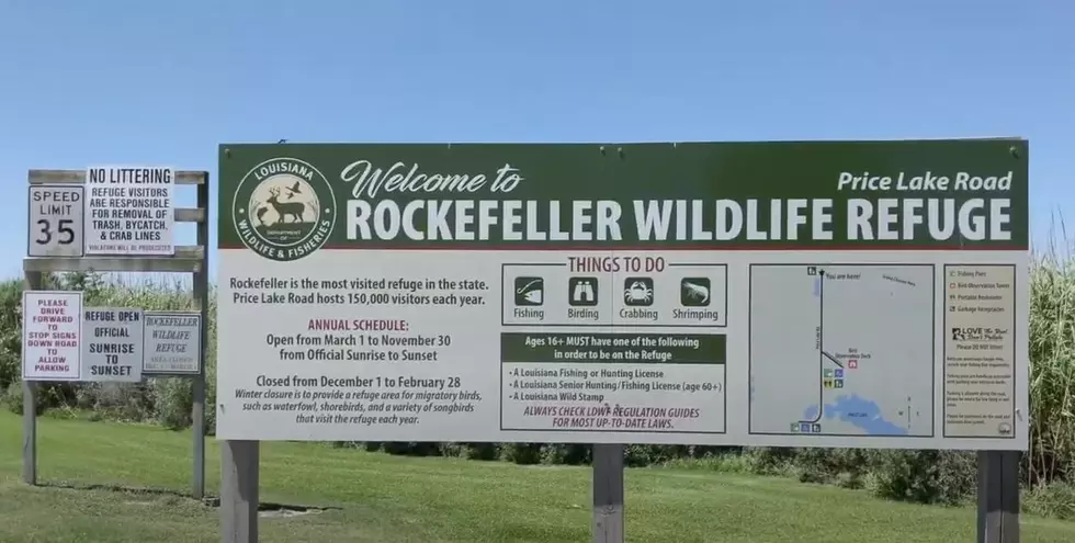 Rockefeller Wildlife Refuge to Close Temporarily