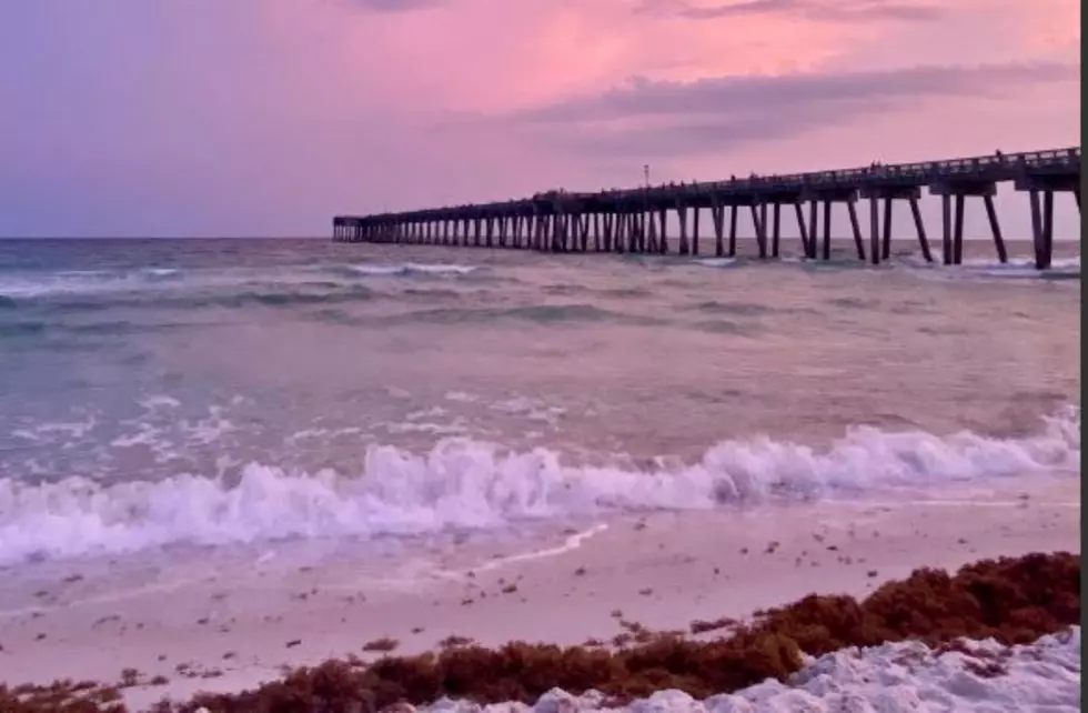 Going to the Gulf Beaches This Weekend? Here's What to Expect
