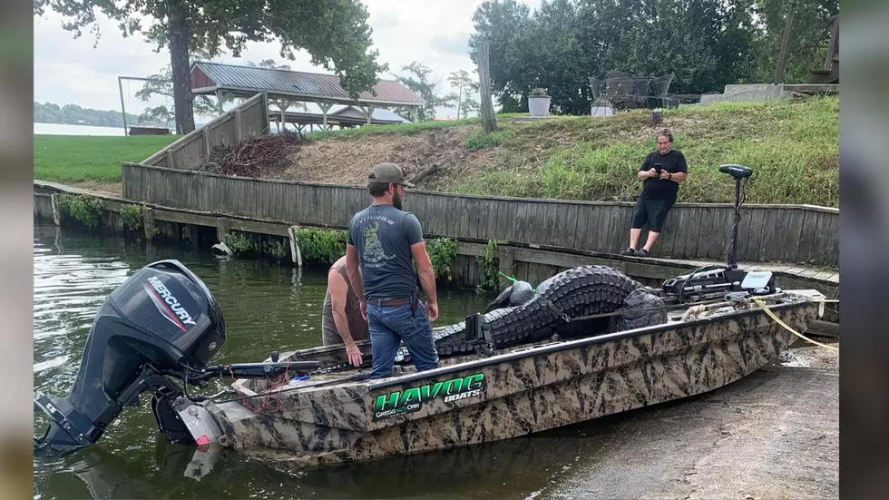 Massive 800-Pound Gator Caught in Louisiana Lake 