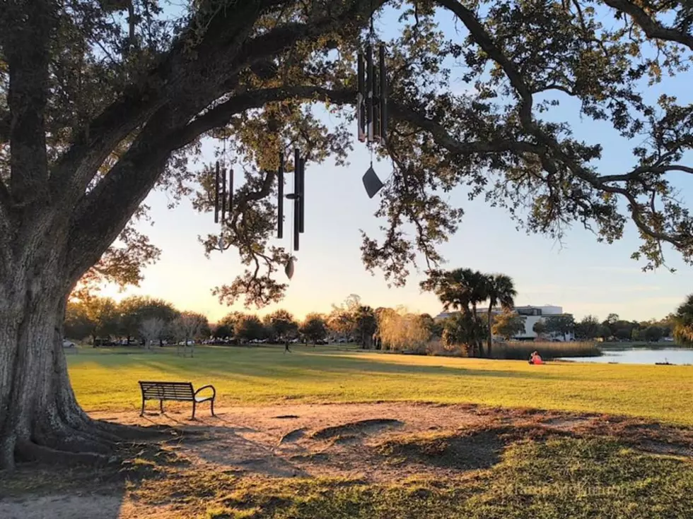Police Respond to Report of Body Found at New Orleans City Park, Turns Out to Be a Mannequin