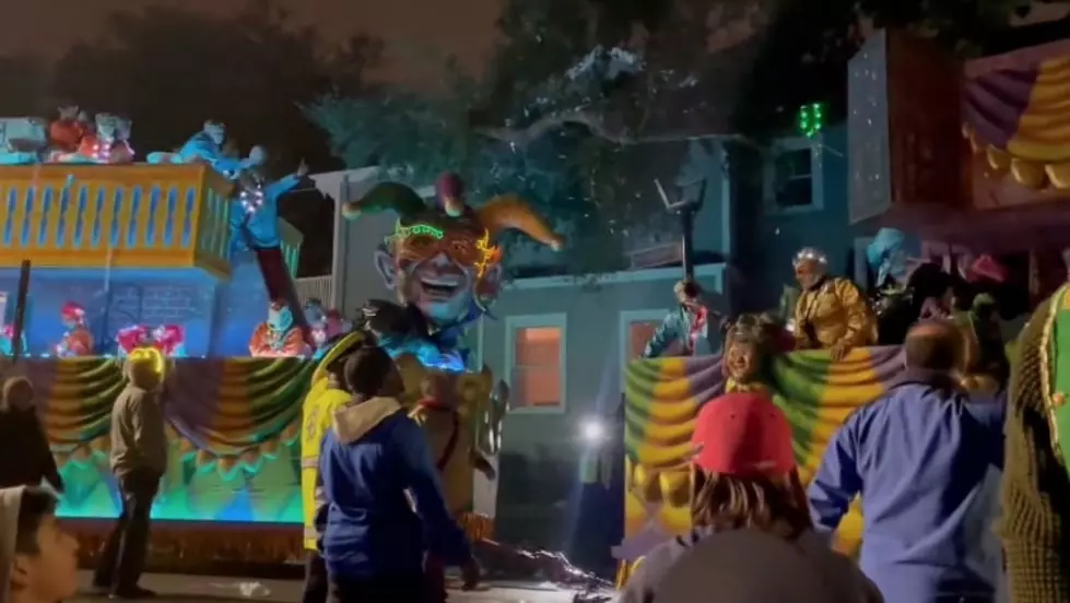 New Orleans Mardi Gras Float Hits Tree, One Person Falls Off