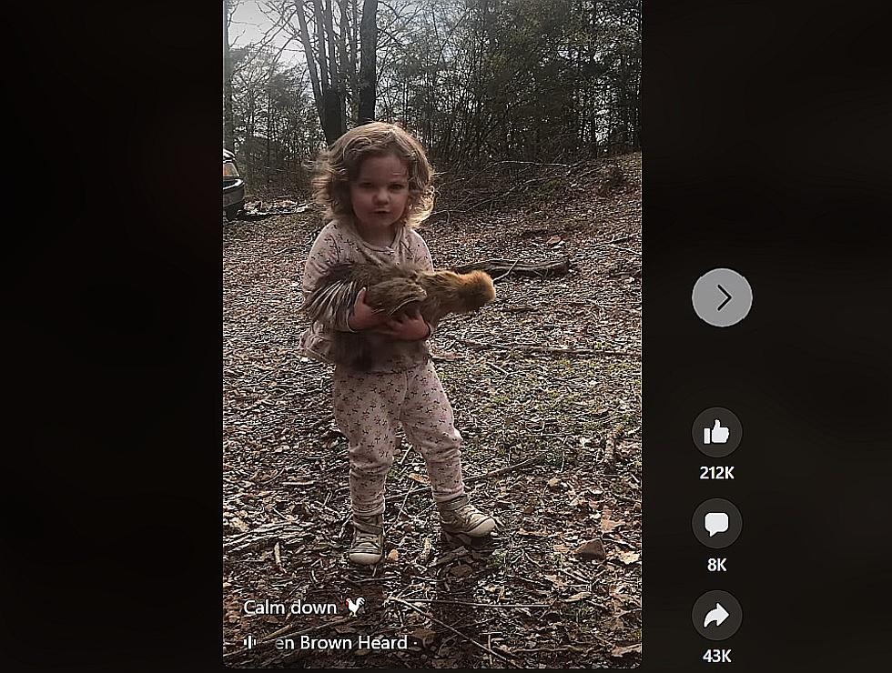 Little Girl Telling Chicken to Calm Down is What You Need to See Today