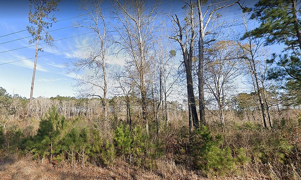 Louisiana Man Says He Telepathically Communicates With Bigfoot in Kisatachie Forest