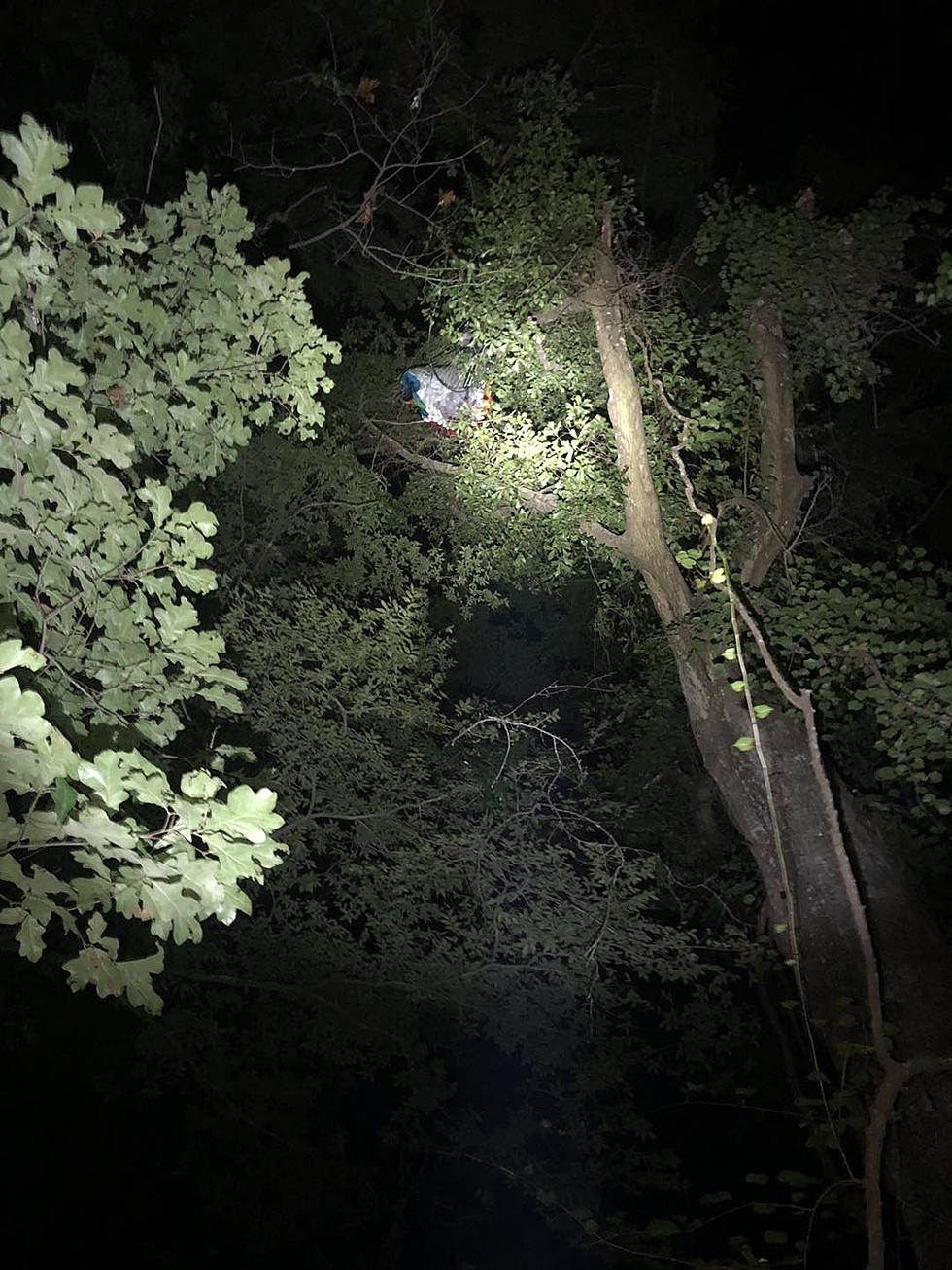 Louisiana Paraglider Crashes Into Tree, Rescued by Fire Dept